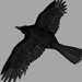 Misc. 3D Model