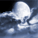 The Moon